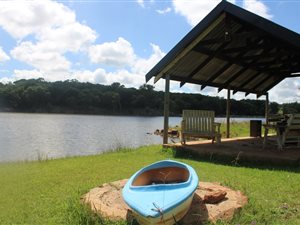 4.6 ha Farm in Bashewa