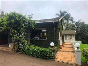 5 Bed House in Albany