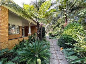 3 Bed House in Highlands North