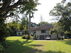 4 ha Farm in Mtunzini