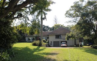 4 ha Farm in Mtunzini