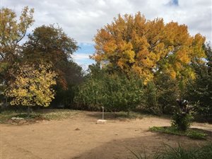 2 Bed House in Oviston