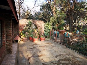 8000 m² Farm in Vyfhoek