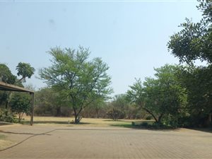 1.1 ha Smallholding in Amandasig