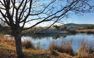 26 ha Farm in Laezonia