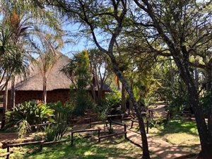 1.5 ha Farm in Buffelsdrift