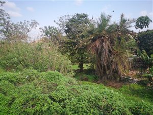 1335 m² Land available in Umlazi