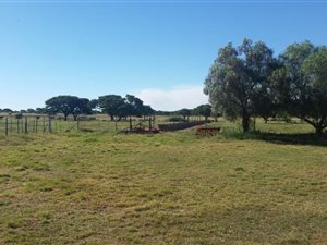 256 ha Farm in Kameel