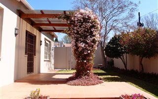 3 Bedroom House in Norwood