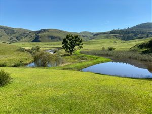 6 ha Farm in Underberg