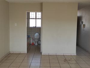 Bachelor apartment in Arcadia