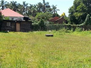 1115 m² Land available in Graskop