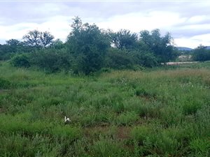 1287 m² Land available in The Ridge Estate