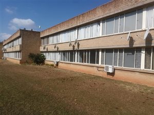 2 Bed Apartment in Pioneer Park