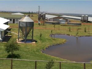 83 ha Farm in Bronkhorstspruit