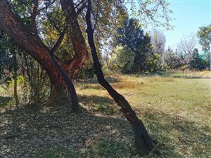 1894 m² Land available in Glenhazel