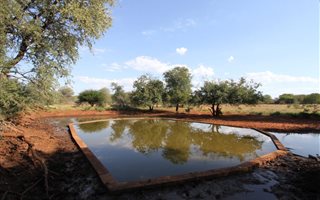 25.6 ha Farm in Hoedspruit