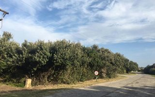 877 m² Land available in Boknesstrand