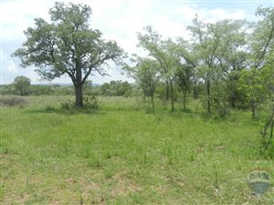 21 ha Farm in Vaalwater