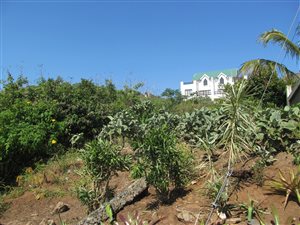 1100 m² Land available in Saiccor
