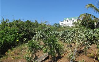 1100 m² Land available in Saiccor