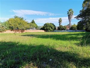 1008 m² Land available in Loerie Park