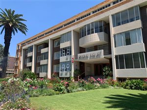 1 Bed Apartment in Norwood