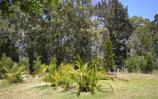 8 ha Farm in Harkerville