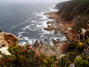 30 ha Farm in Plettenberg Bay
