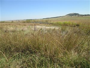 229 m² Farm in Bethlehem