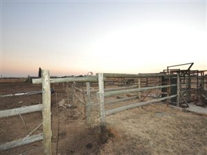 2.2 ha Smallholding in Nelsonia