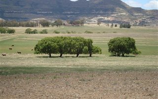 478 ha Farm in Rosendal