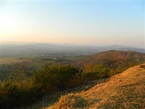 23 ha Farm in Tzaneen