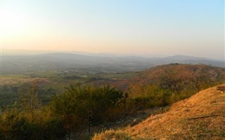23 ha Farm in Tzaneen