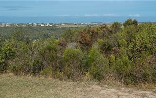1815 m² Land available in Schoongezicht