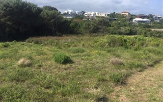 1190 m² Land available in Whale Rock