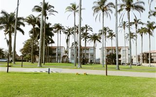 2 Bedroom Apartment in Manor Estates