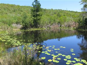 8.6 ha Farm in Harkerville