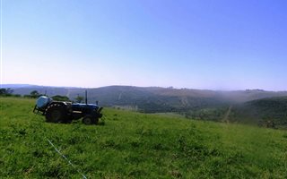 81.5 ha Land available in Ashburton