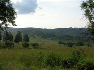 22 ha Farm in Vlakplaats