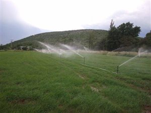 415 ha Farm in Vredefort