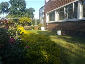 1 Bed Apartment in Musgrave