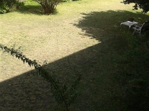 2 Bedroom Apartment in Orchards
