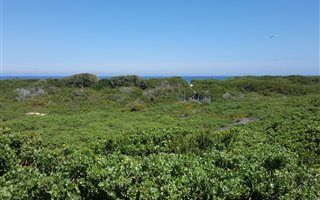 1775 m² Land available in Myoli Beach
