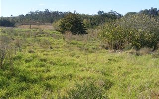 2848 m² Land available in Caledon