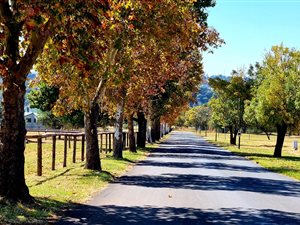 998 m² Land available in Boschkop