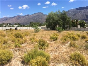 1000 m² Land available in De Doorns
