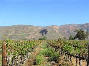 1.1 ha Land available in Calitzdorp