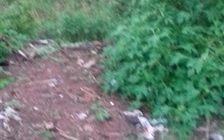 2187 m² Land available in Clermont