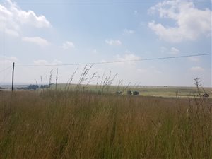 1900 m² Land available in Ben Fleur